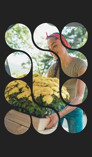 Bouqify Ana Sayfa Features Long Bölümü Görselleri