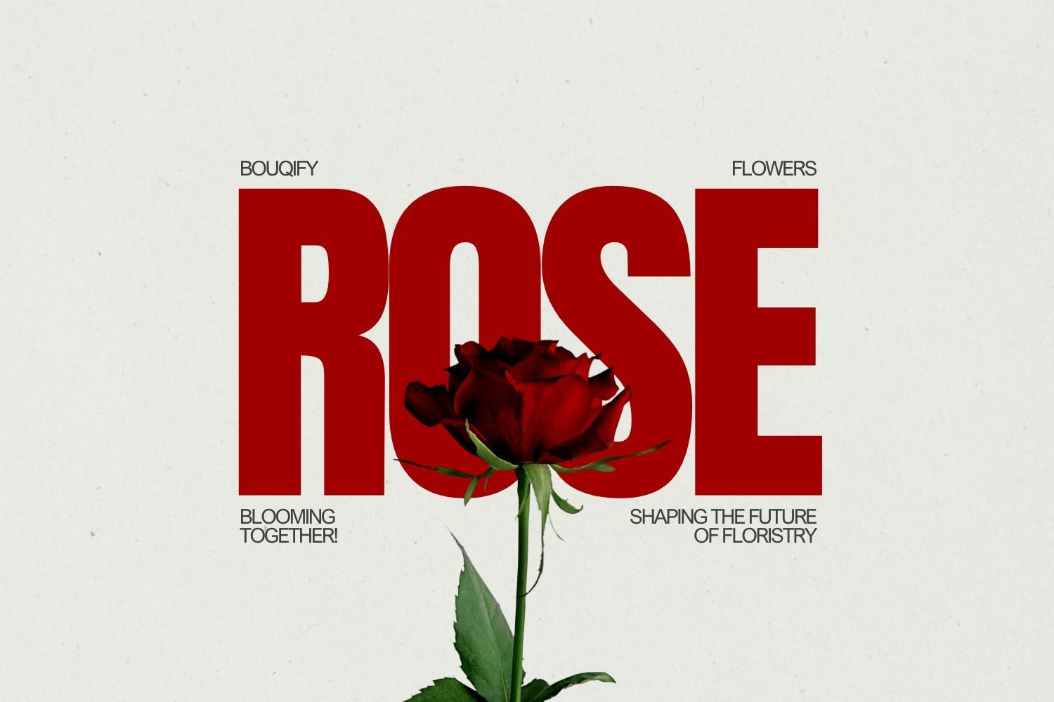 Roses: The Timeless Symbol of Love and Elegance in Floral Design