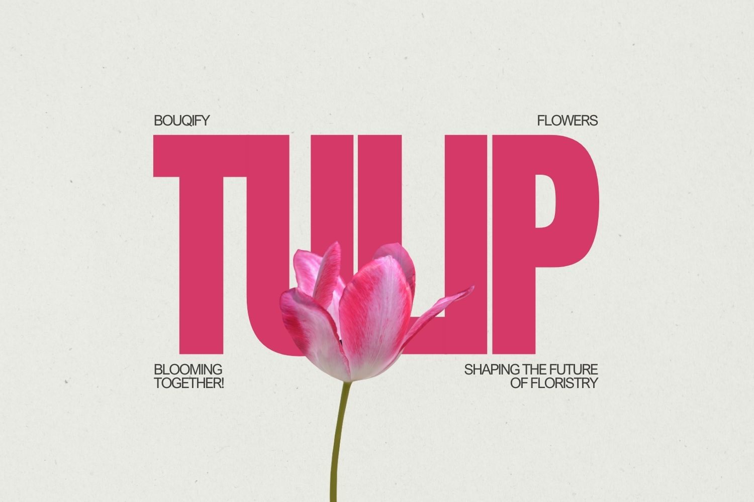 Tulips: Elegant Harbingers of Spring and Timeless Floral Masterpieces
