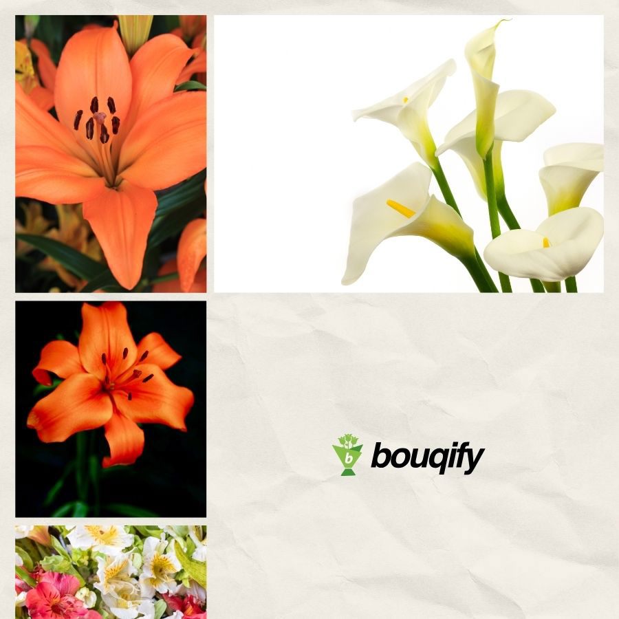 Lily Flower - Bıuqify