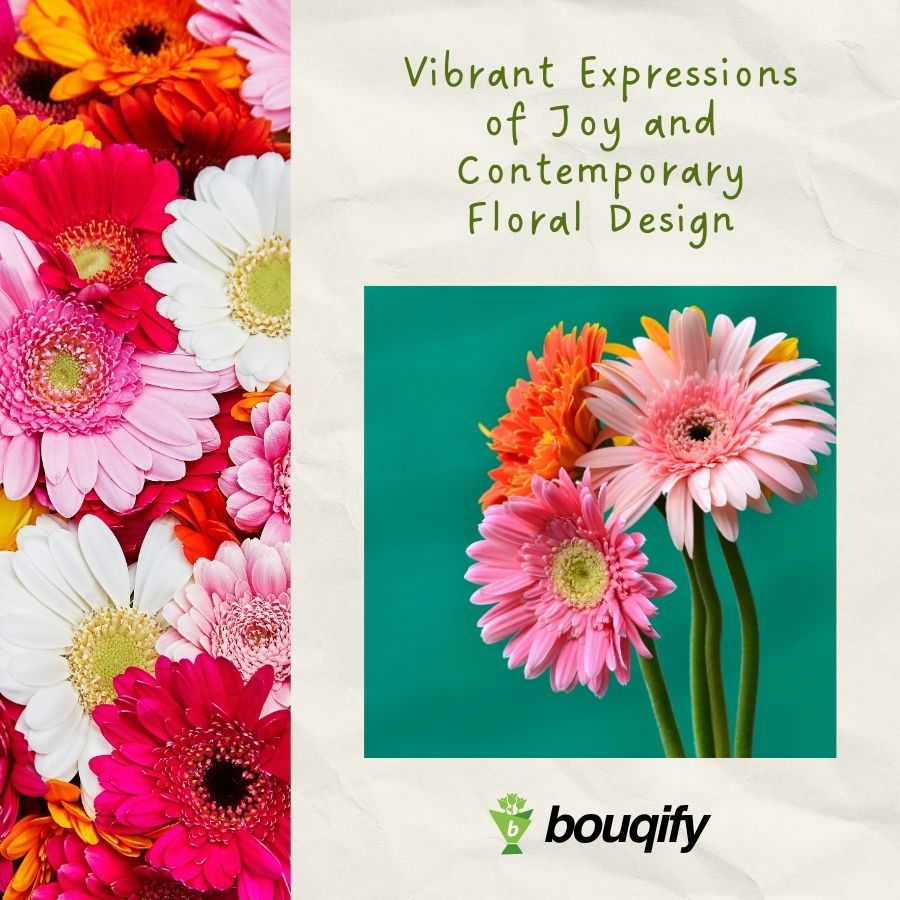 Gerbera Flowers - Bouqify