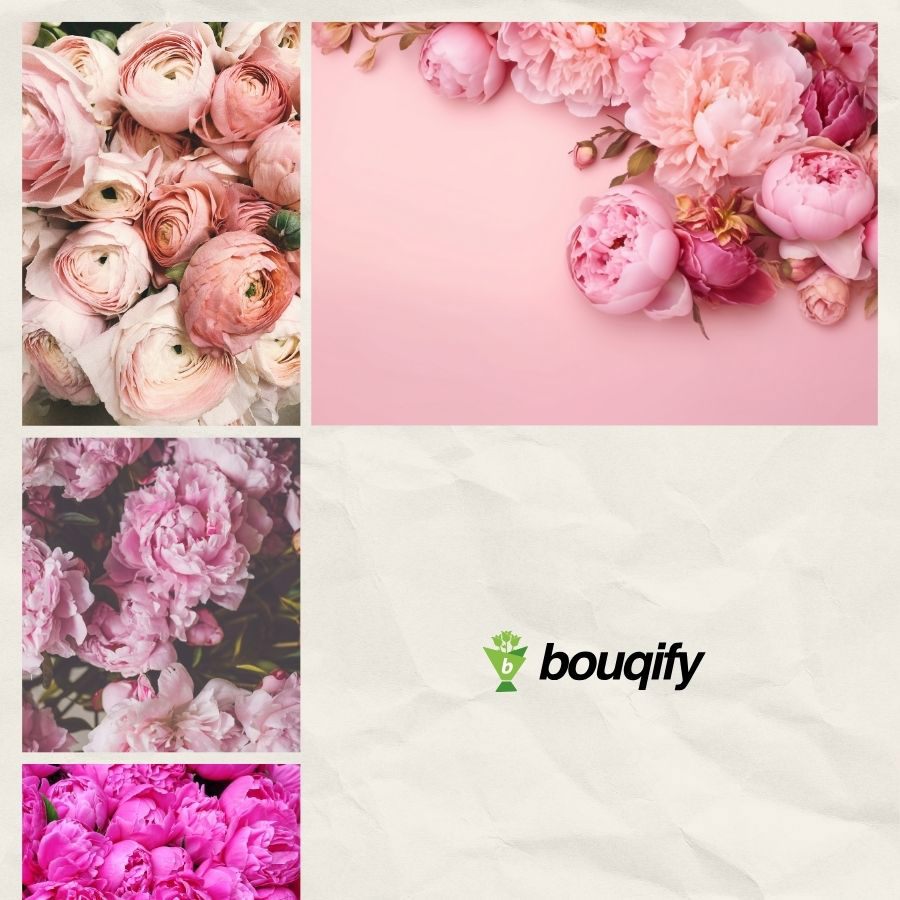 Peony Flowers - Bouqify