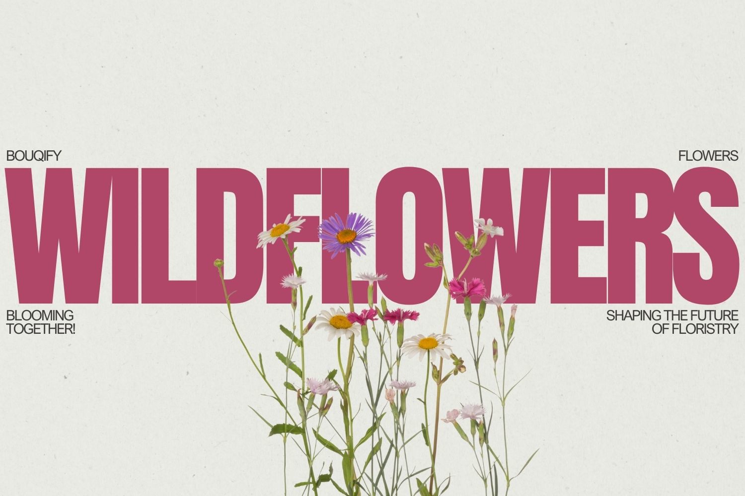 Wildflowers: Nature's Untamed Palette of Romantic and Rustic Elegance