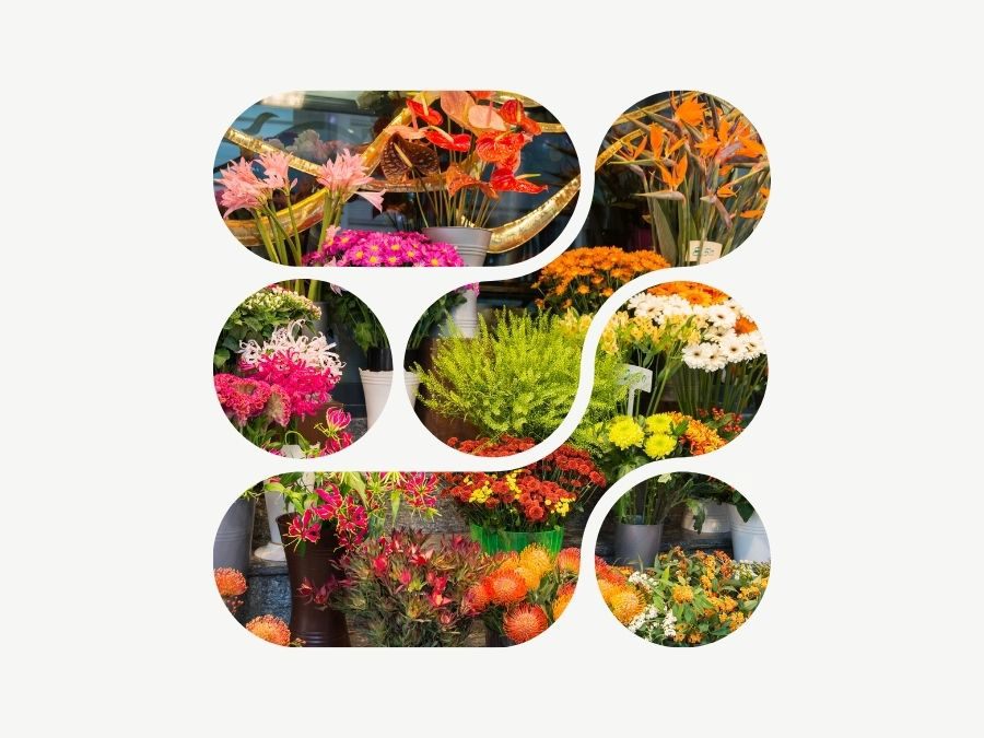 Bouqify Florist Platform