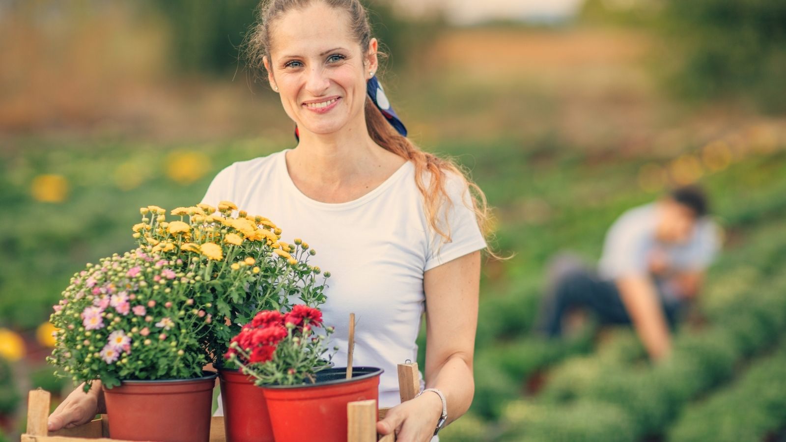 Bouqify Florist Platform