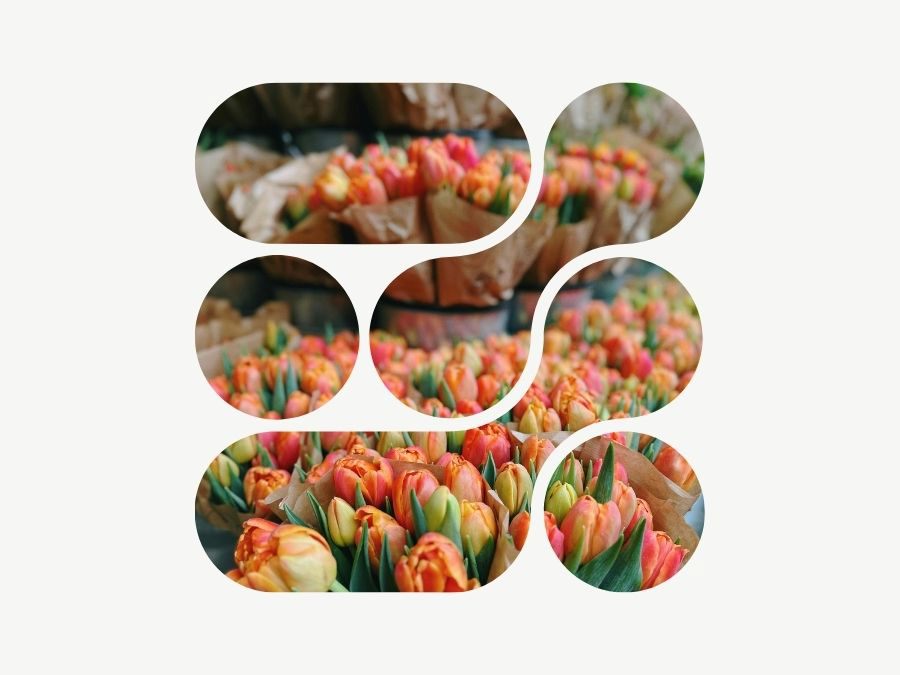 Bouqify Florist Platform