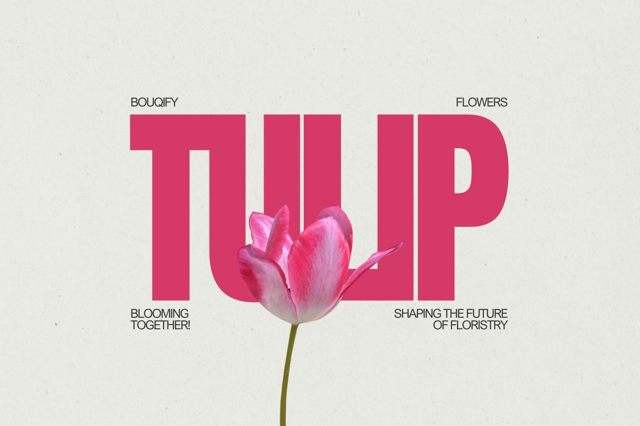 Tulips: Elegant Harbingers of Spring and Timeless Floral Masterpieces