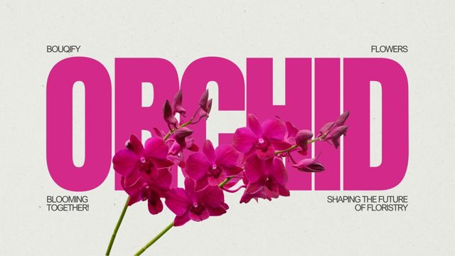 Orchids: Exotic Elegance and Botanical Sophistication