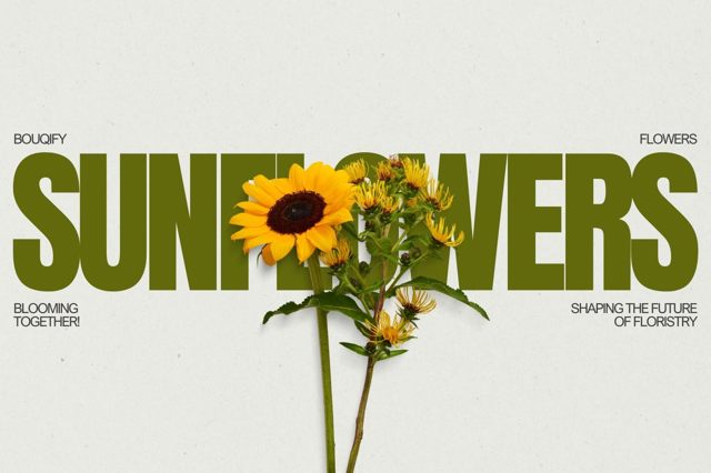 Sunflowers: Radiant Symbols of Positivity and Natural Beauty