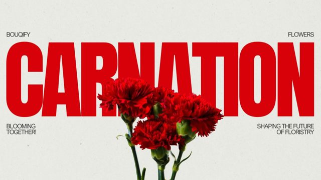 Carnations: Classic Elegance and Timeless Floral Symbolism