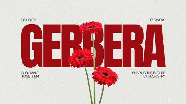 Gerberas: Vibrant Expressions of Joy and Contemporary Floral Design