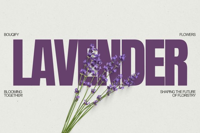 Lavender: Aromatic Ambassadors of Calm and Therapeutic Elegance